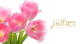 Easter Gift Card